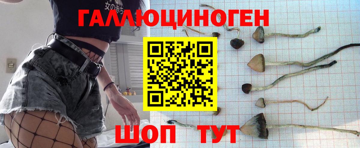 Галлюциногенные грибы Psilocybe  Вход с VPN  Малоярославец 